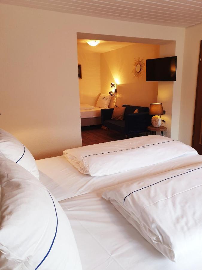 Steinsfeld Hotel Gasthof Zum Schwan מראה חיצוני תמונה